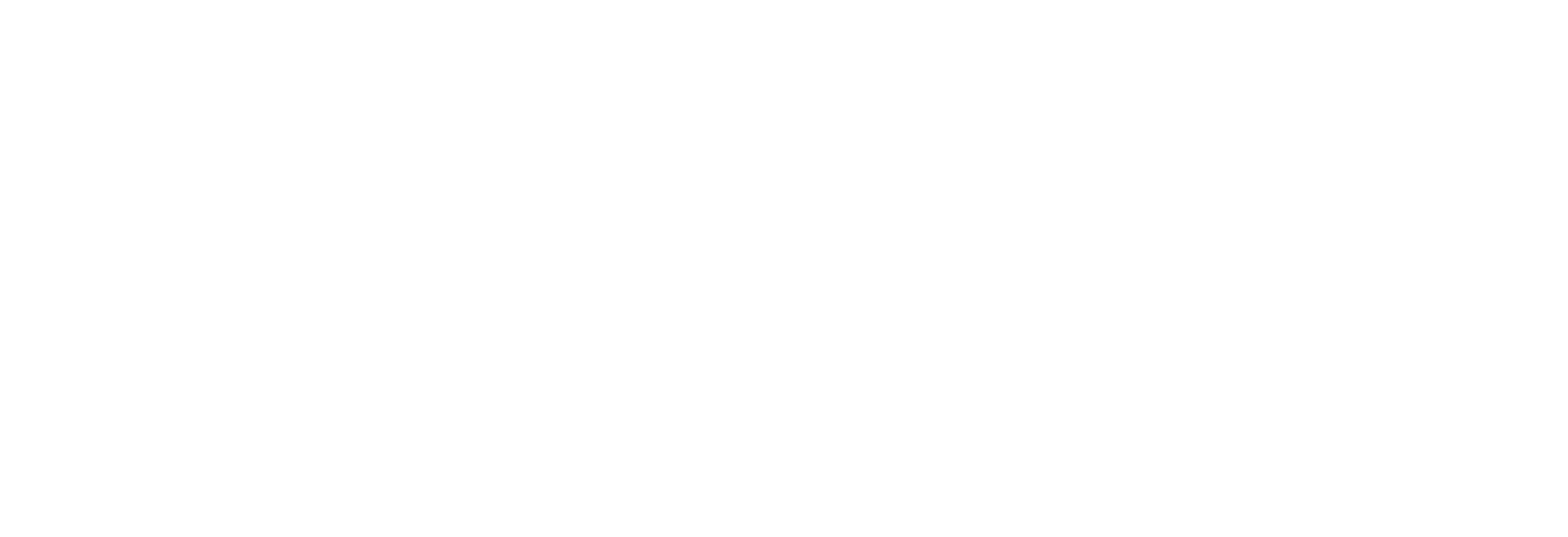 aimz Logo